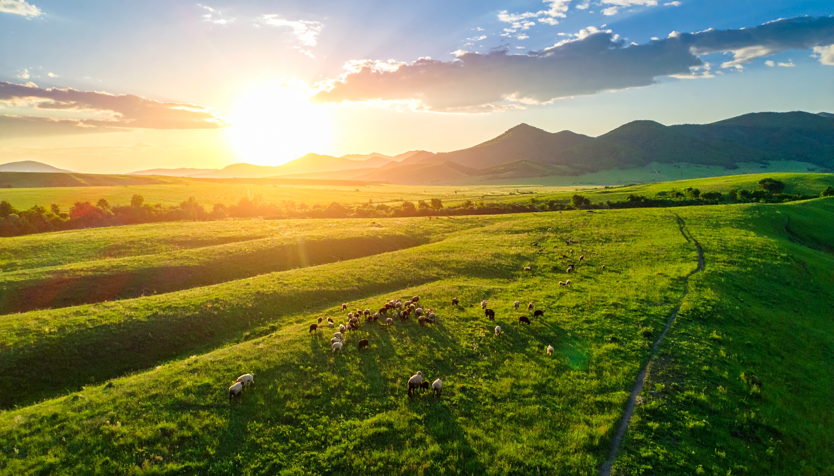 Nature et agriculture