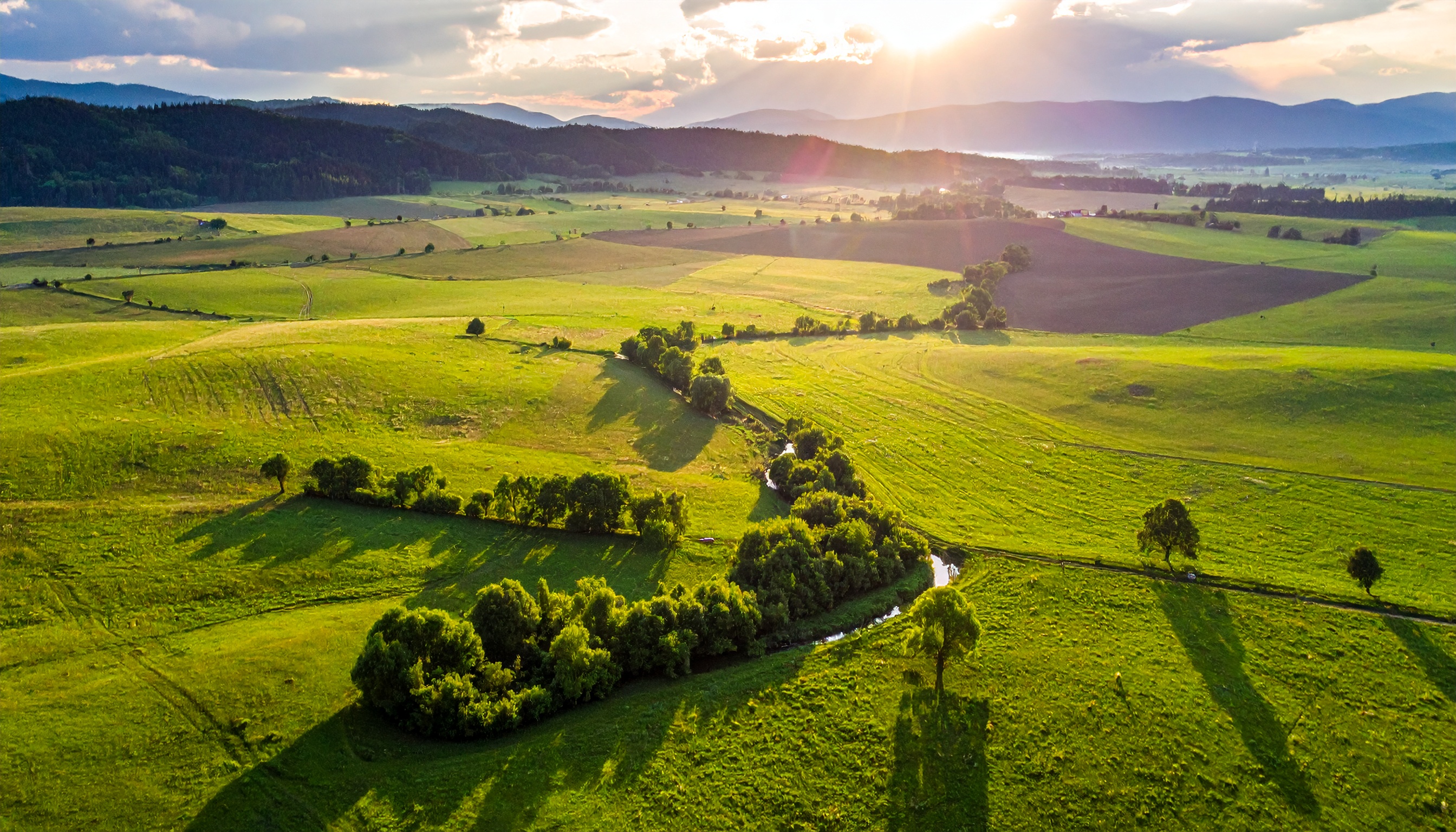 Pâturages agricoles